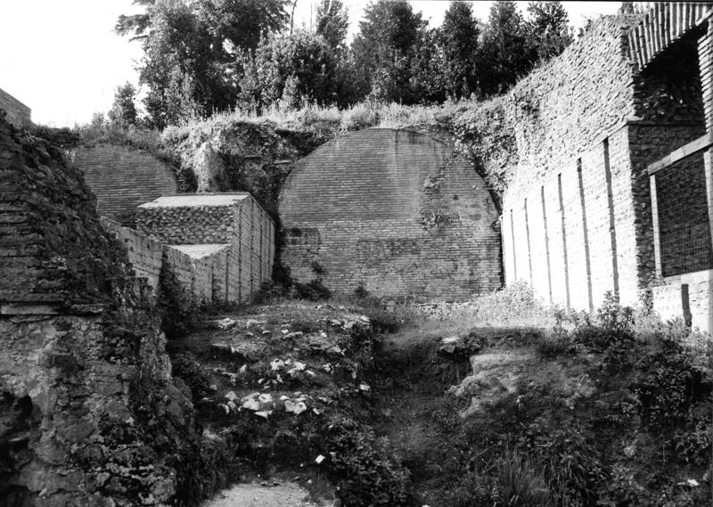 VN-VIII013-asf009218.jpg