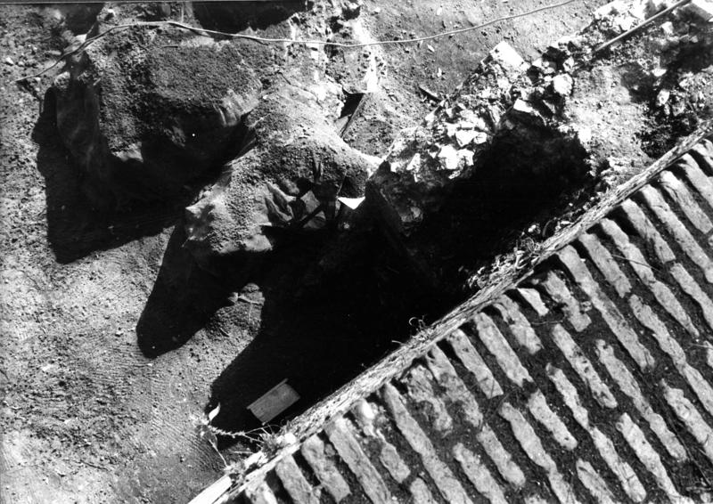 VN-X014-asf009237.jpg