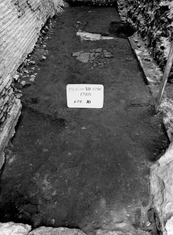 VN-XI025-asf009277.jpg
