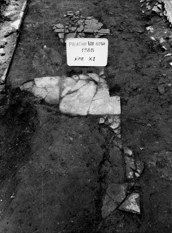 VN-XI026-asf009278.jpg