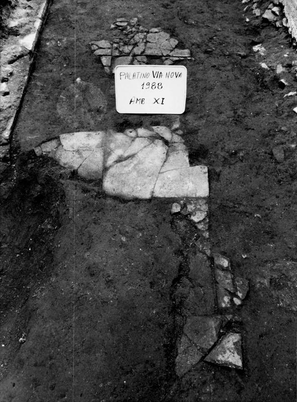 VN-XI026-asf009279.jpg