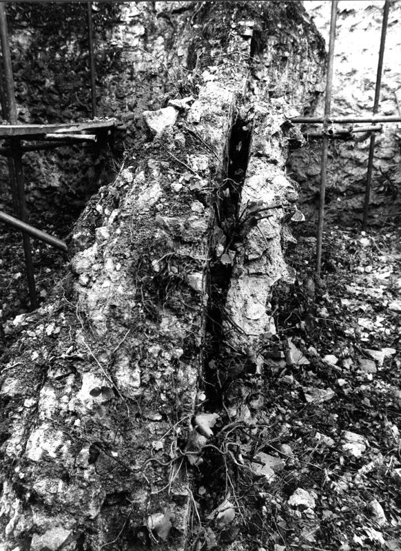 VN-XII004-asf009293.jpg