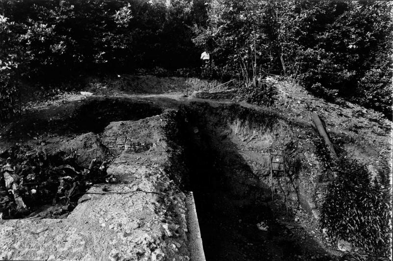 VN-XII015-asf009304.jpg