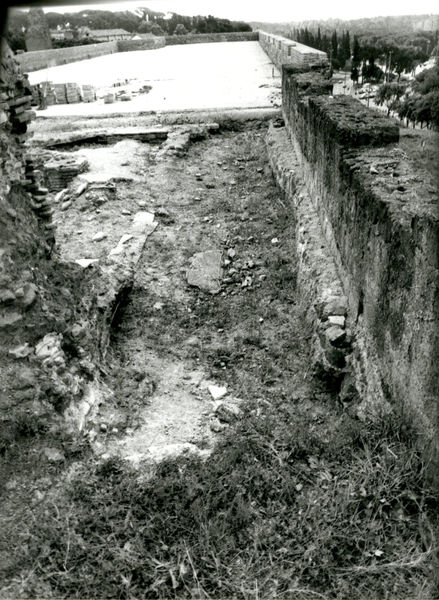 001539 - scavo archeologico - Scavi