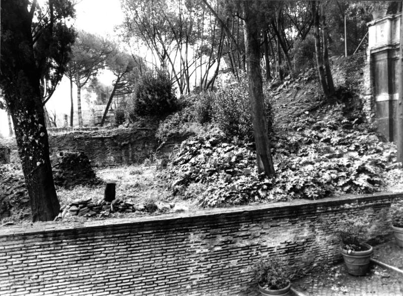VN-XII016-asf009305.jpg