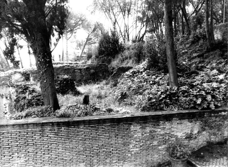 VN-XII017-asf009306.jpg