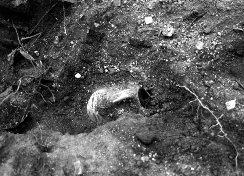 VN-XIII001-asf009307.jpg