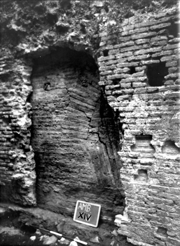 VN-XIV013-asf009322.jpg