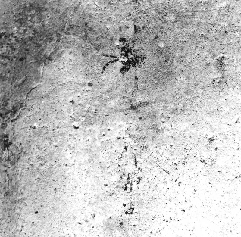 VN-AB013-asf009424.jpg