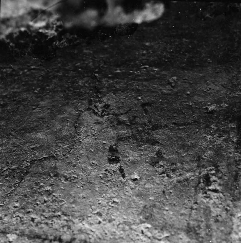 VN-AB013-asf009426.jpg