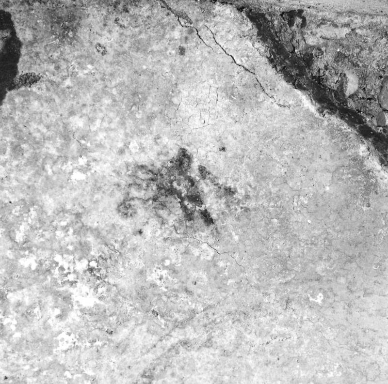 VN-AB014-asf009434.jpg