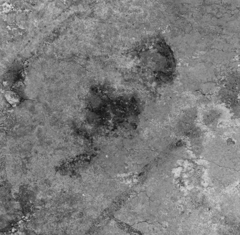 VN-AB014-asf009435.jpg