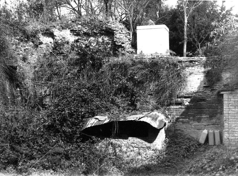 008598 - monumento - Palatino, via dei Cerchi n. 93, il giardino (marzo 1986); neg. serie film n. 1665