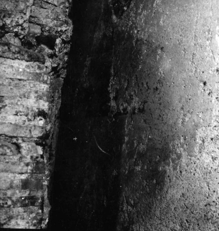 VN-AB016-asf009460.jpg