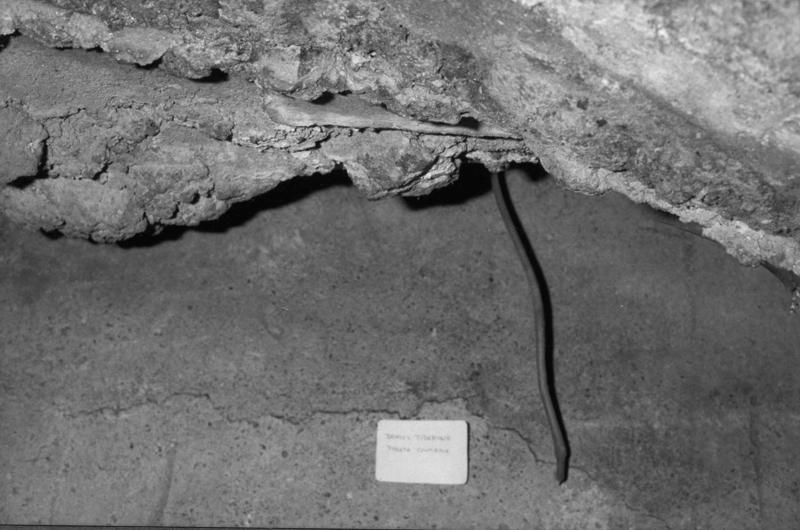 VN-AB020-asf009484.jpg