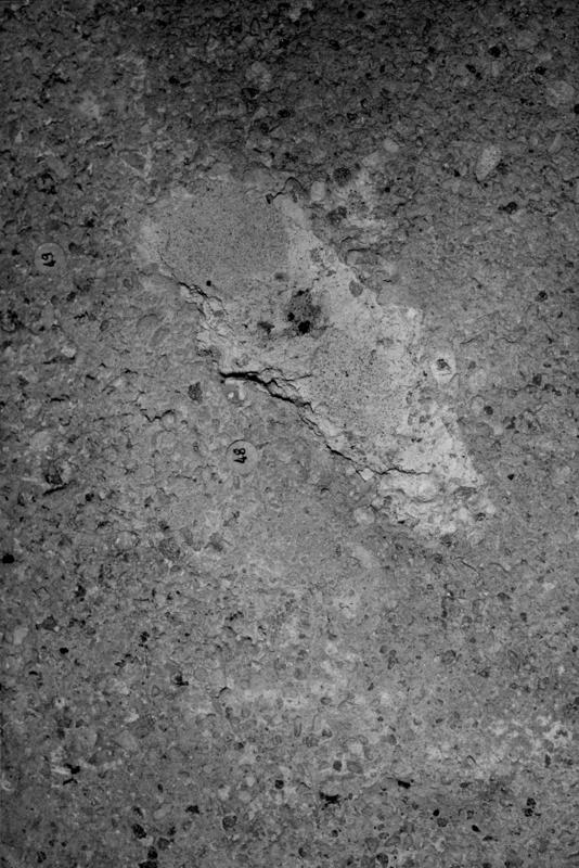 VN-AB021-asf009488.jpg