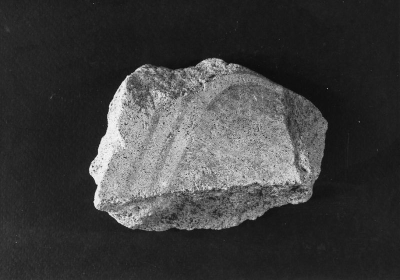 020785 - reperto - Frammento fittile; Neg. Serie film, Nr. 1854