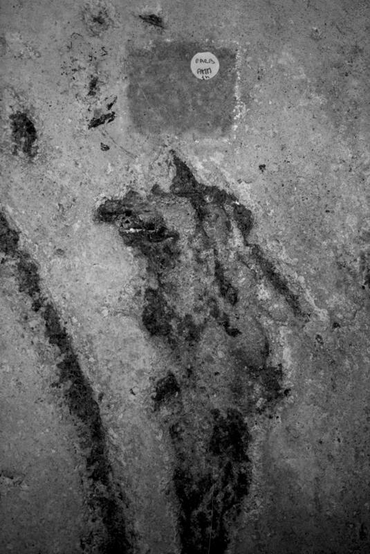 VN-AB026-asf009500.jpg