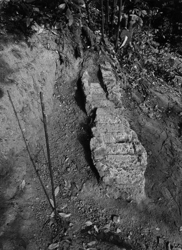 VN-PS027-asf009721.jpg
