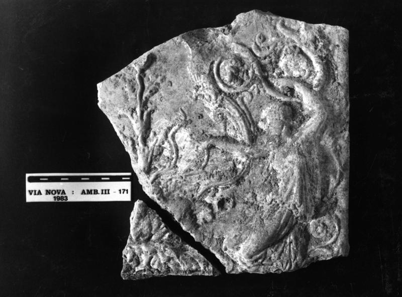 VN-R006-asf009730.jpg