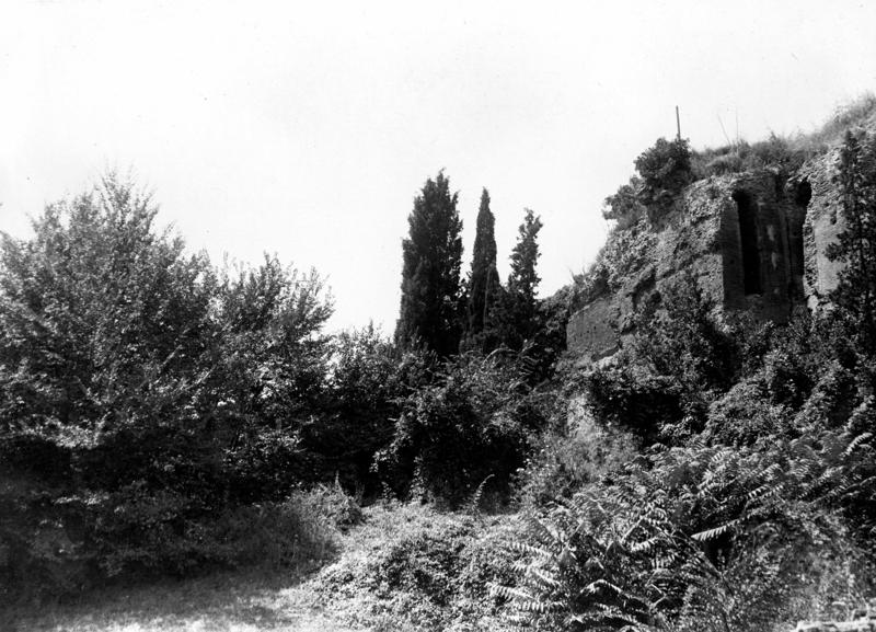 VB-ANE001-asf009731.jpg