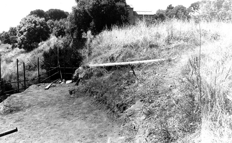 VB-ANE013-asf009749.jpg