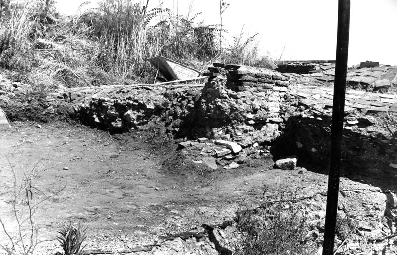 VB-ANE015-asf009751.jpg