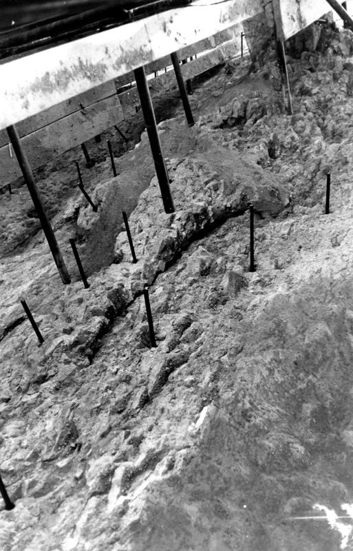 VB-ANE024-asf009761.jpg
