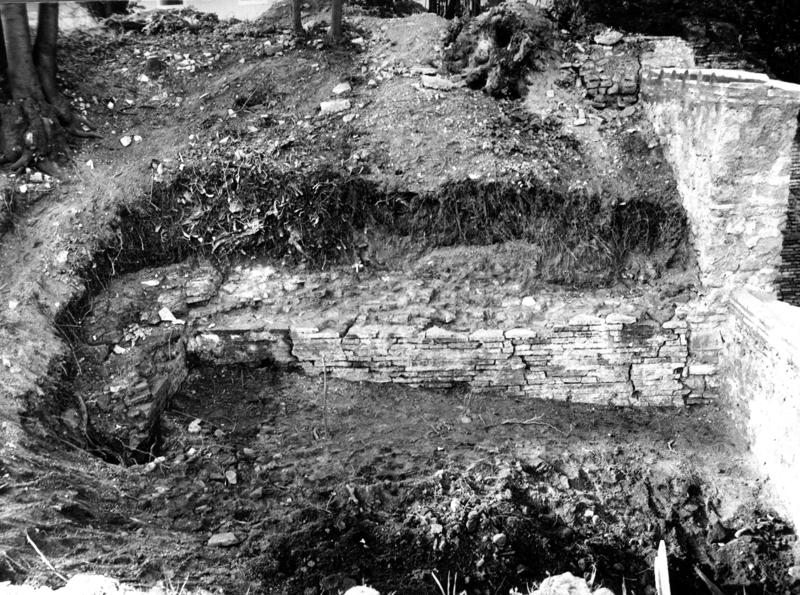VB-ANO004-asf009765.jpg