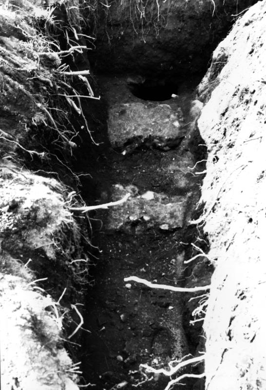 VB-ANO006-asf009767.jpg