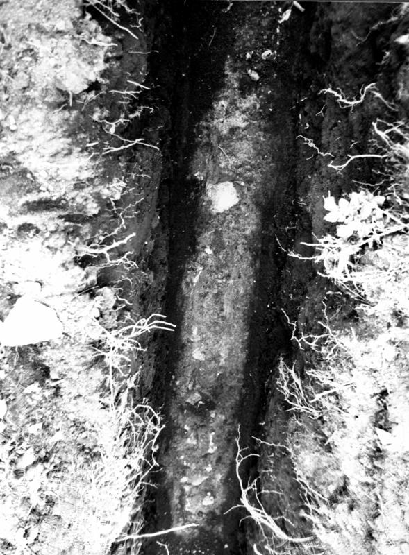 VB-ANO007-asf009768.jpg