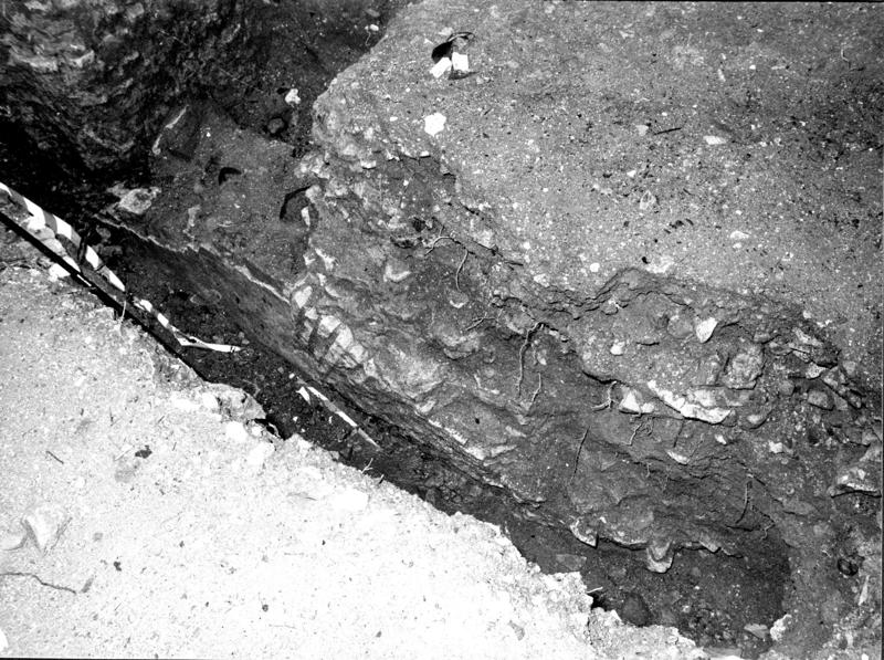 VB-ANO008-asf009769.jpg