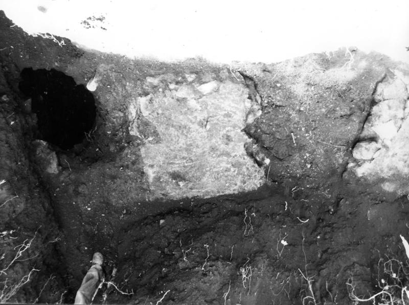 VB-ANO009-asf009770.jpg