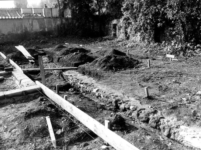VB-ANO011-asf009772.jpg