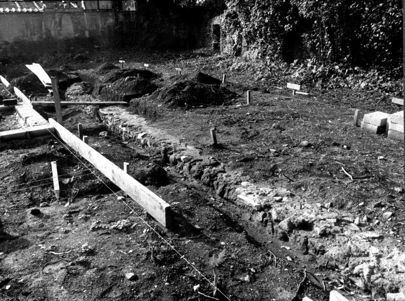 VB-ANO010-asf009771.jpg