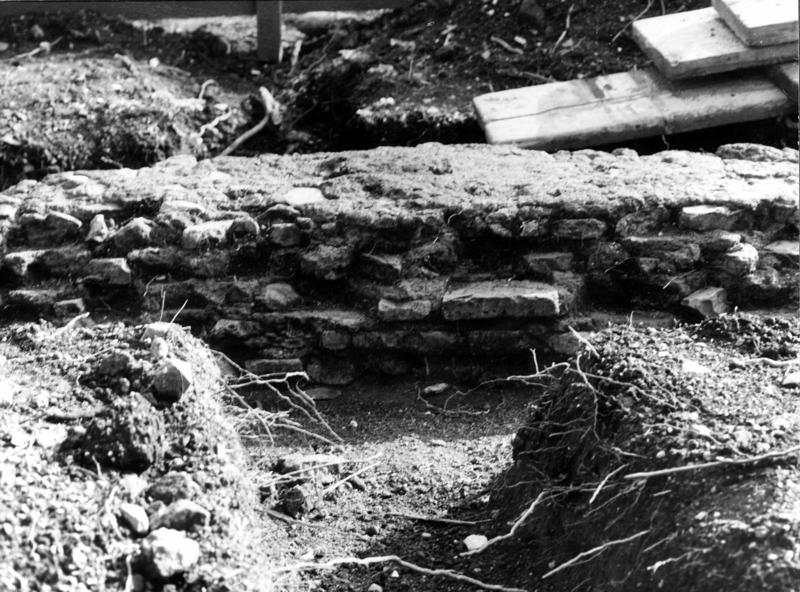 VB-ANO015-asf009776.jpg