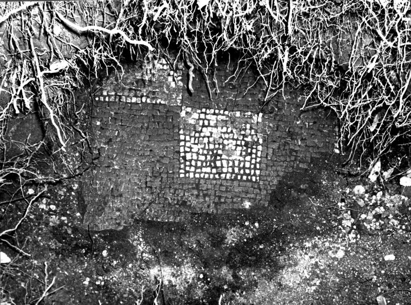 VB-ANO017-asf009778.jpg