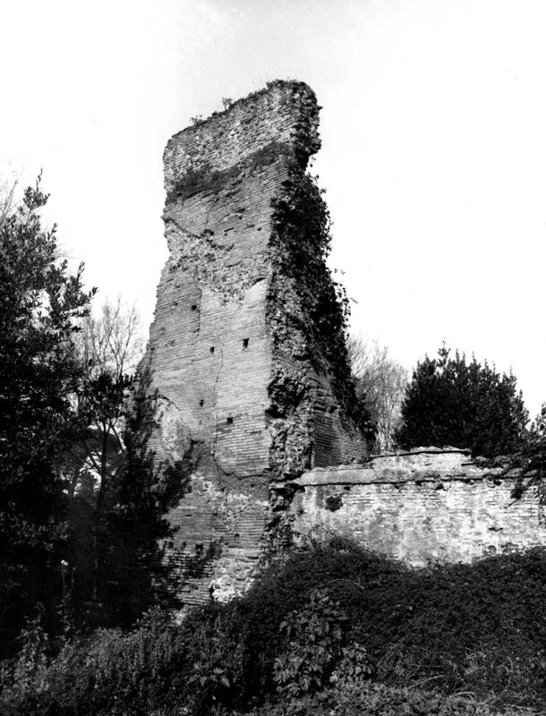 VB-P001-asf009779.jpg