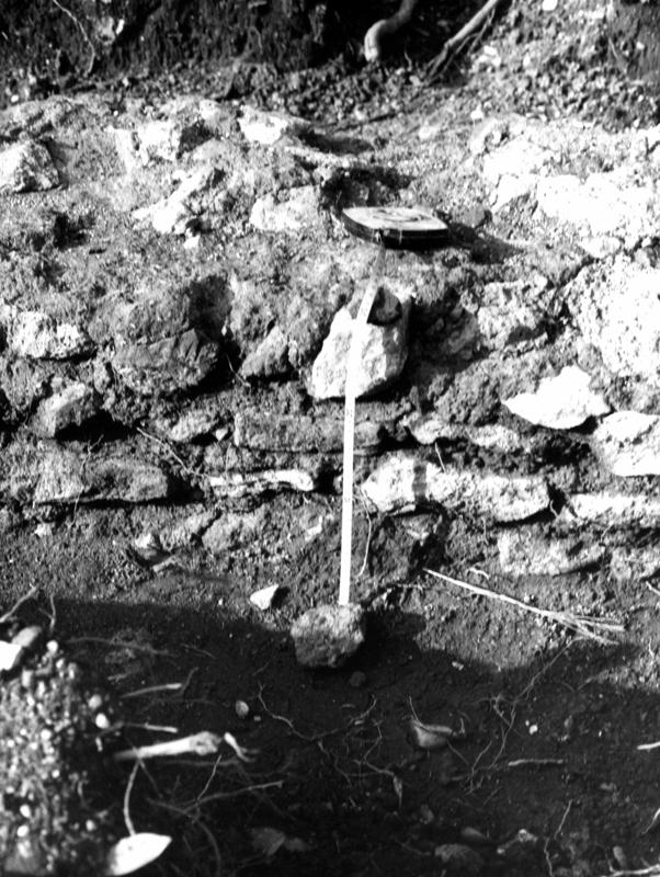 VB-P002-asf009780.jpg
