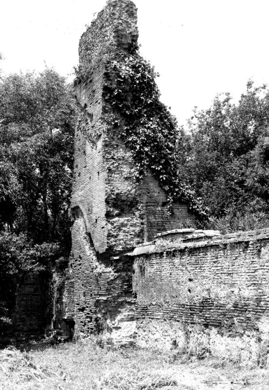 VB-P005-asf009785.jpg