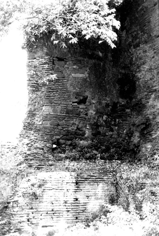 VB-P006-asf009786.jpg