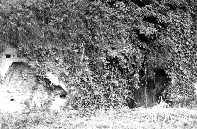 VB-P007-asf009788.jpg