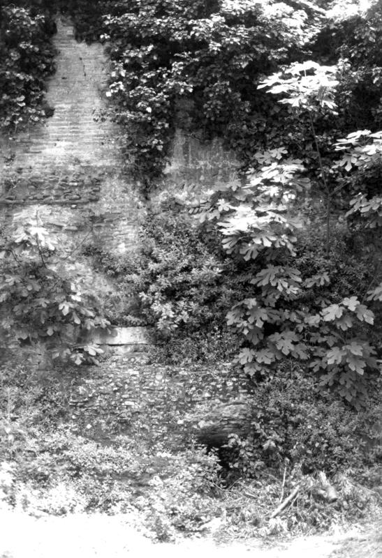 VB-P008-asf009790.jpg