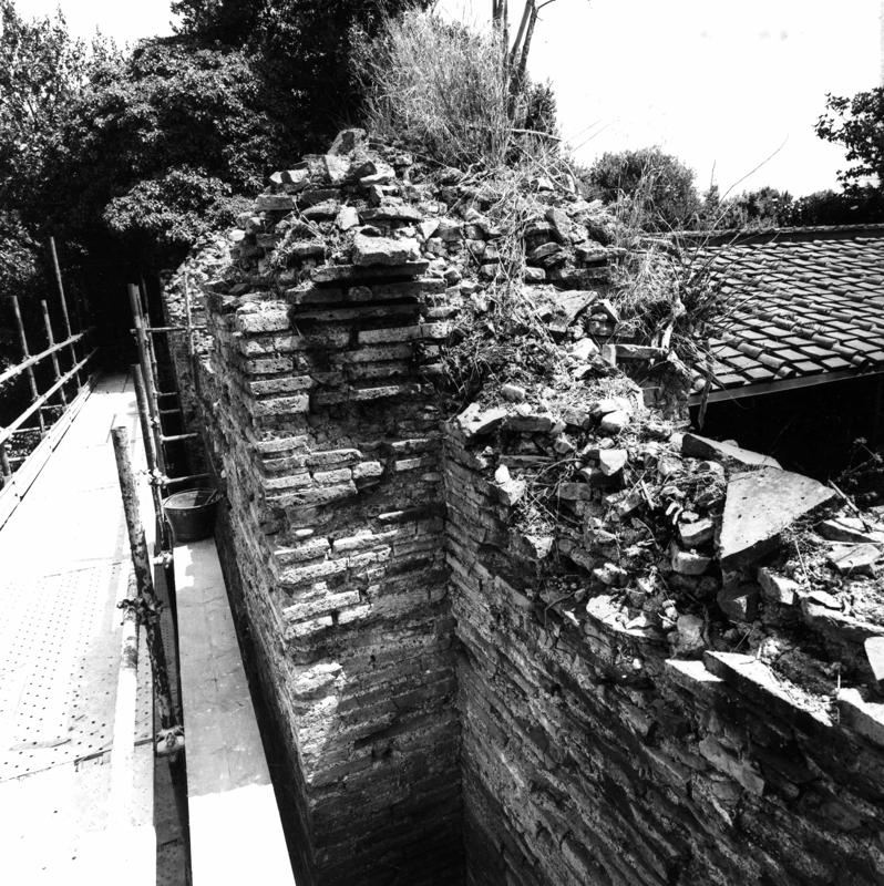 VB-P012-asf009794.jpg