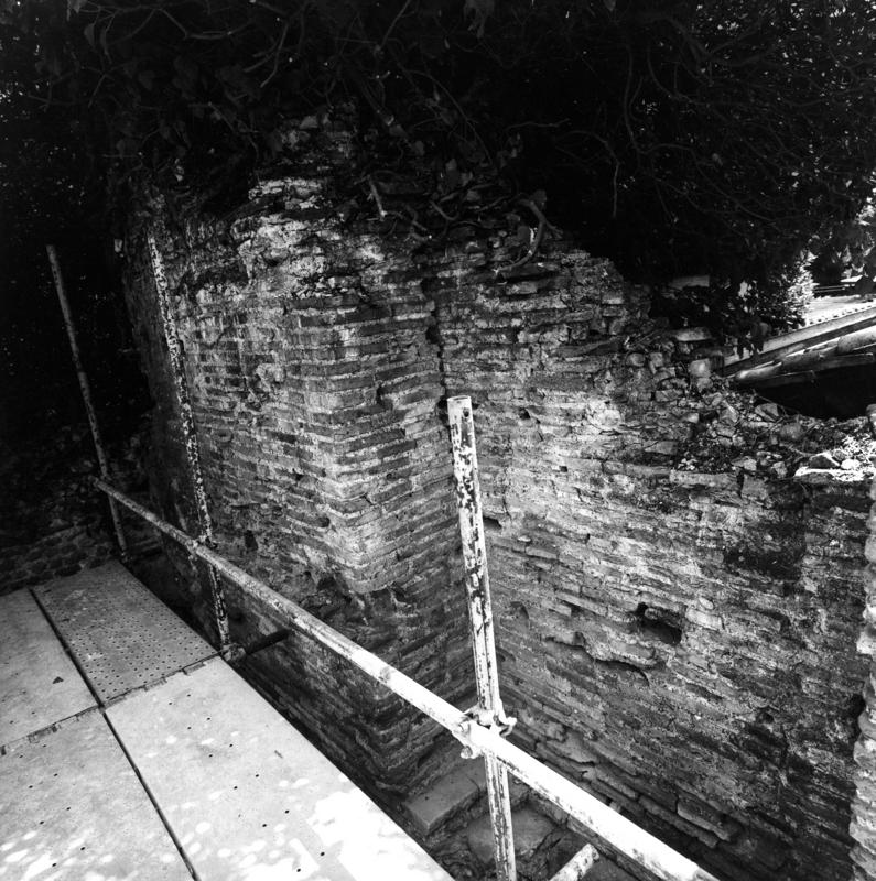 VB-P018-asf009800.jpg