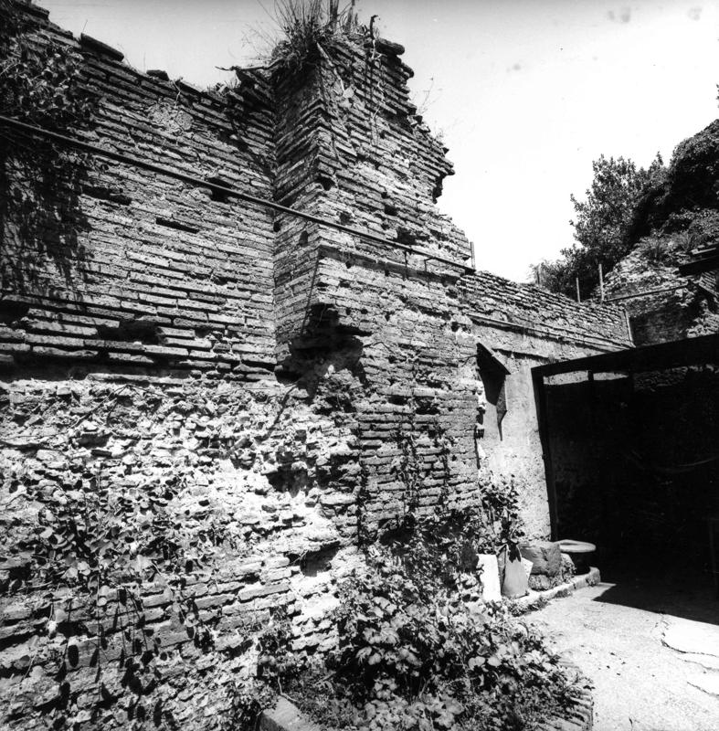 VB-P020-asf009802.jpg
