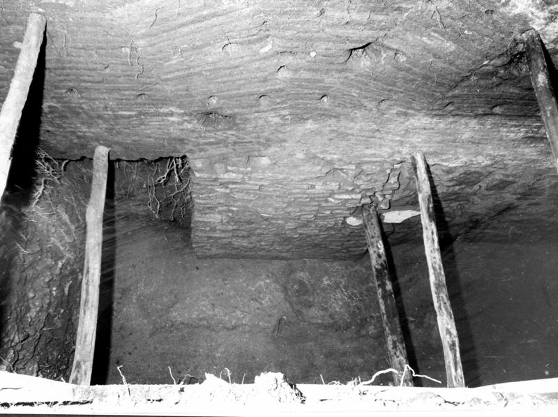 VB-LM003-asf009834.jpg