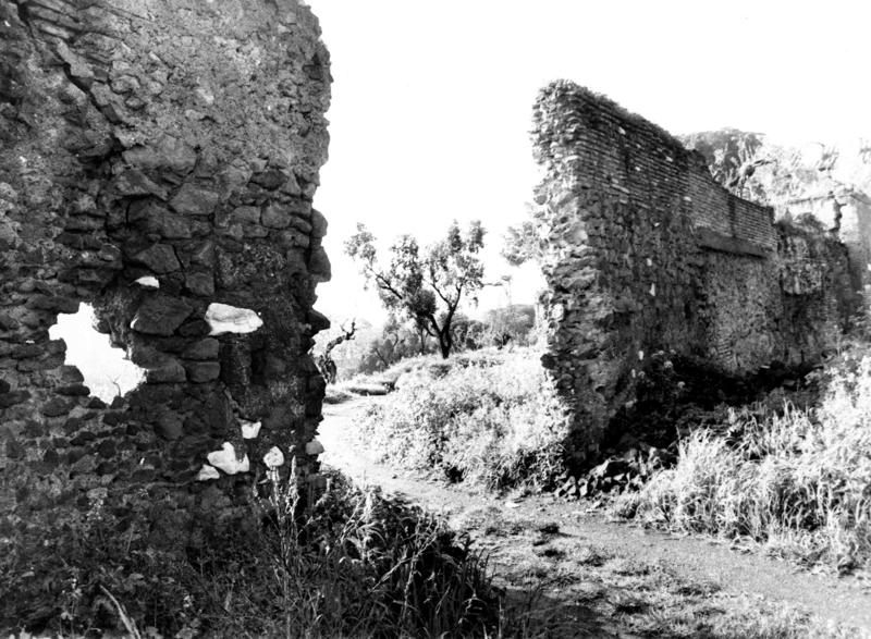 VB-LO007-asf009860.jpg
