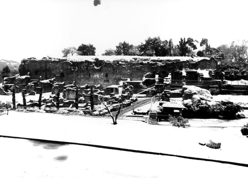 VB-LS020-asf009911.jpg