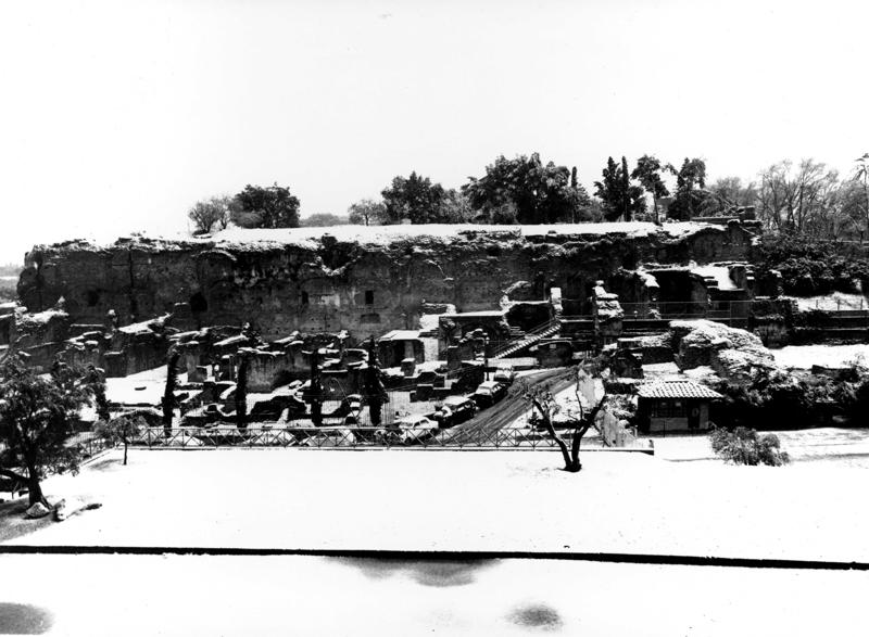 VB-LS019-asf009910.jpg